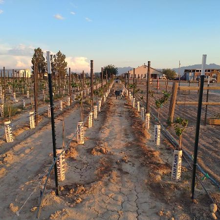 Black Star Ranch Vineyard Pahrump Eksteriør billede